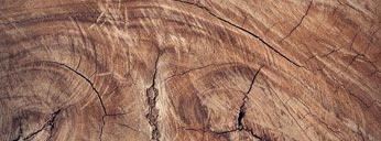 常见问题 常见问题