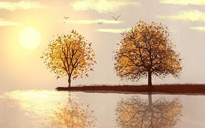 什么是网站策略?为什么你需要它以及你如何做到