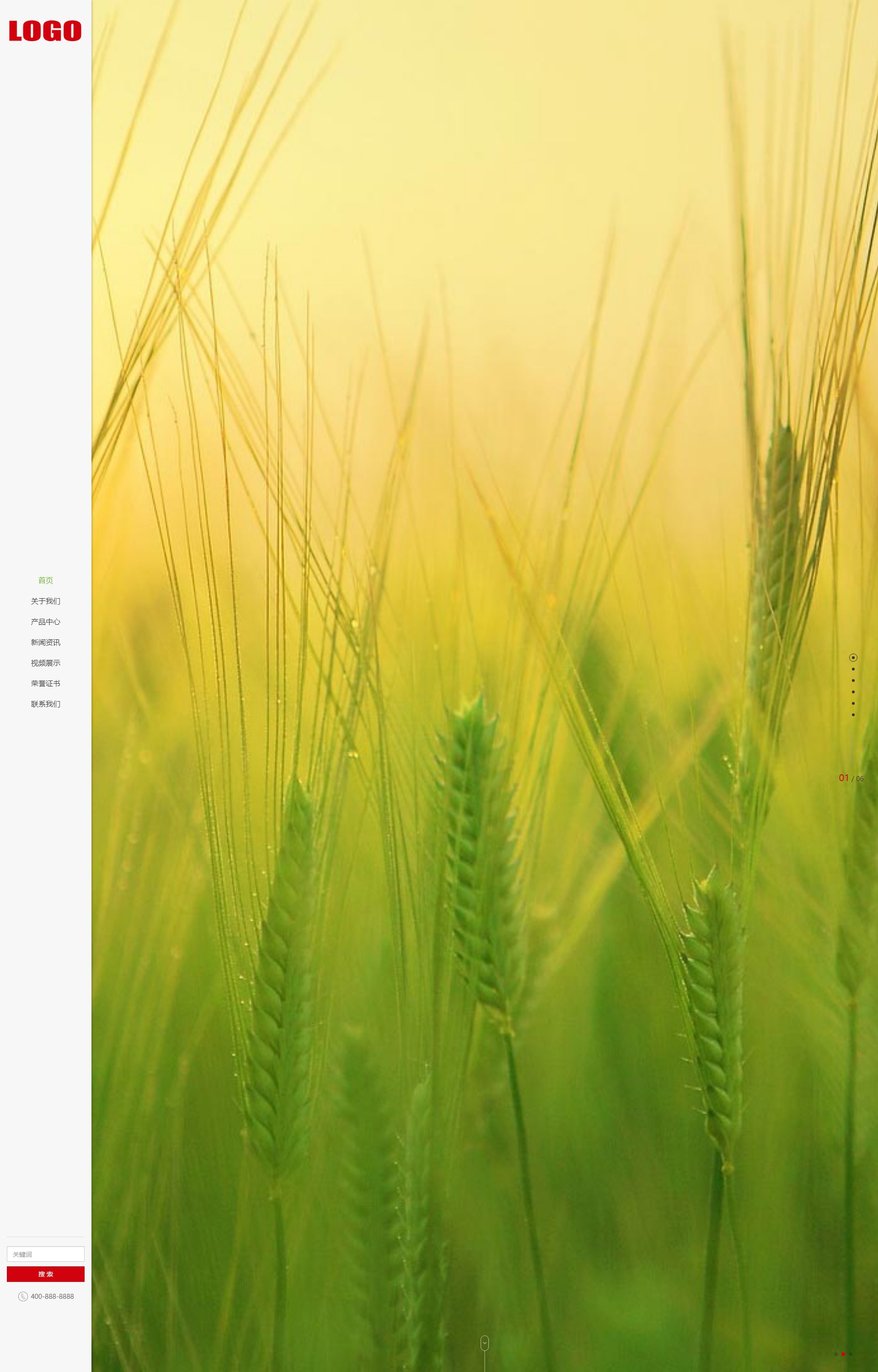 (自适应手机端)水果食品农产品 - 带视频